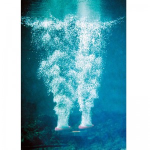 Image result for pond picture with bubble system