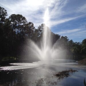 EFL-450 Lighted Lake Fountain 35' x 40' Sprays