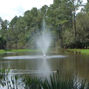 EFS-1900 Floating Pond Fountain 12' x 15' Sprays