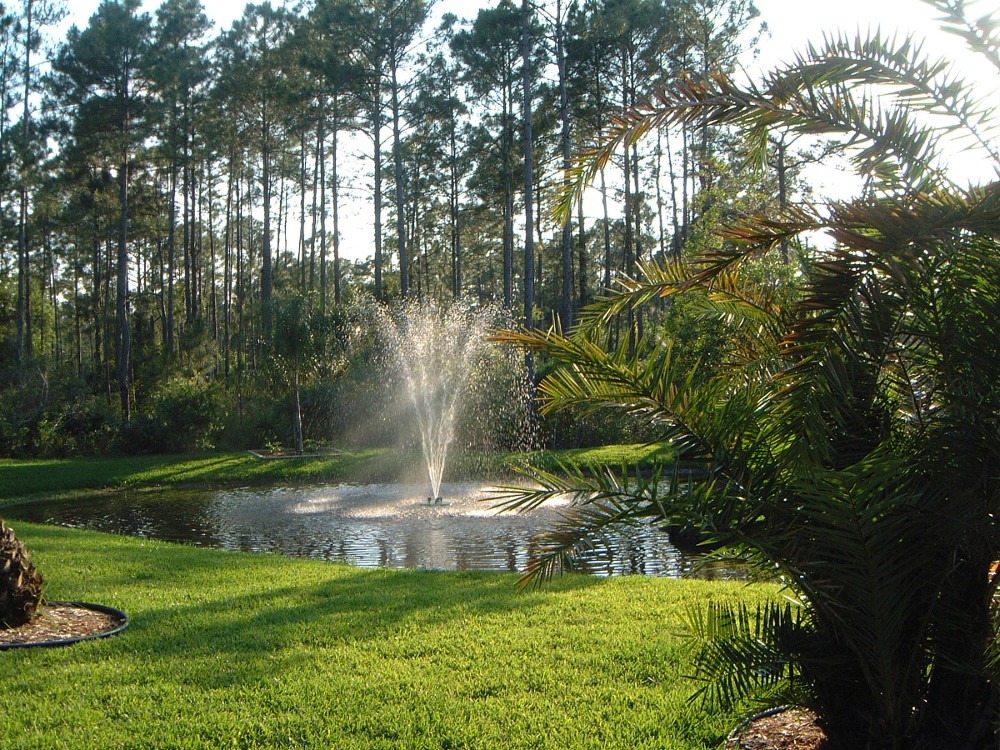 EFL-250 Lighted Fountain - Image 4