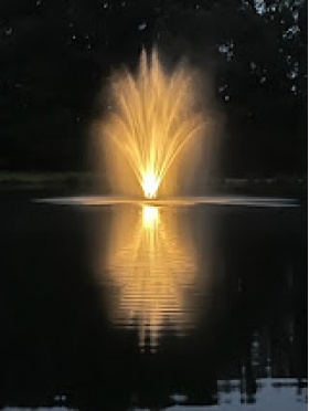 EFL-250 Lighted Fountain - Image 3